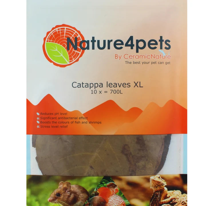 Ceramic Nature Catappa XL (Pack of 10)