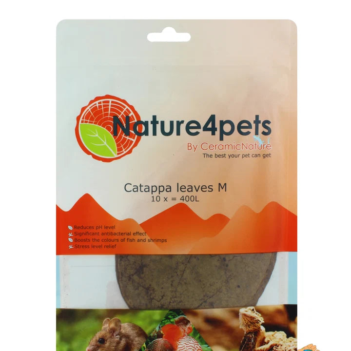 Ceramic Nature Catappa Leaves (Medium, 10 Pack)