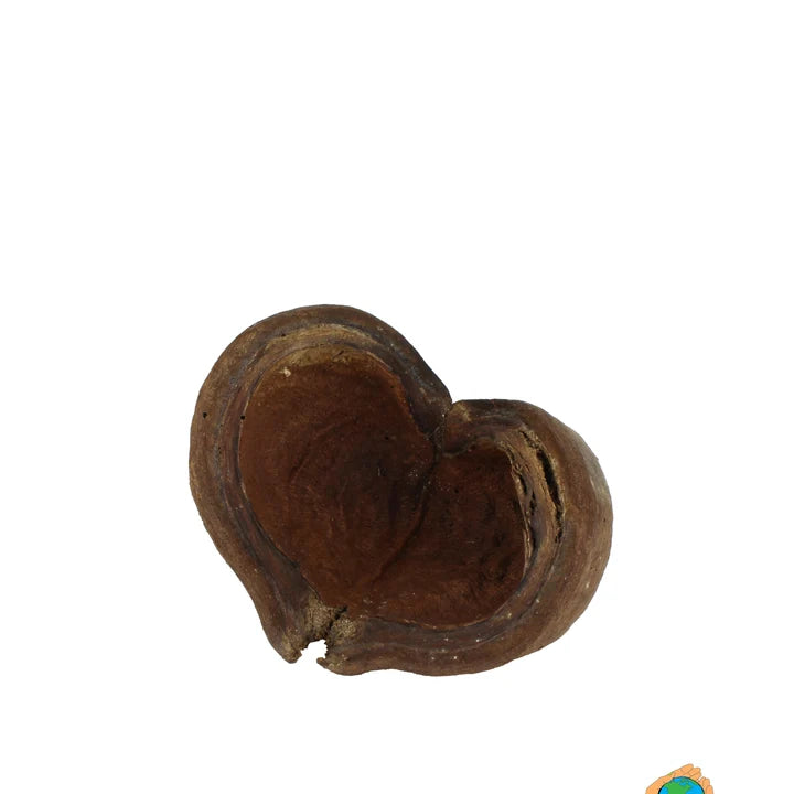 Ceramic Nature Natural Thelambu Pods (1x Unit)