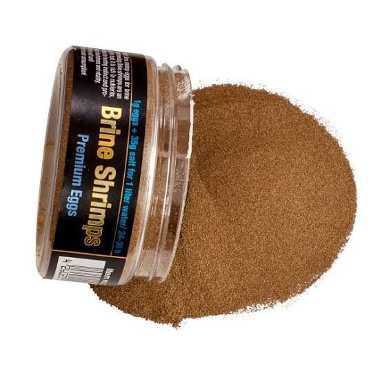 DiscusFood Brine Shrimps Premium Eggs 50g