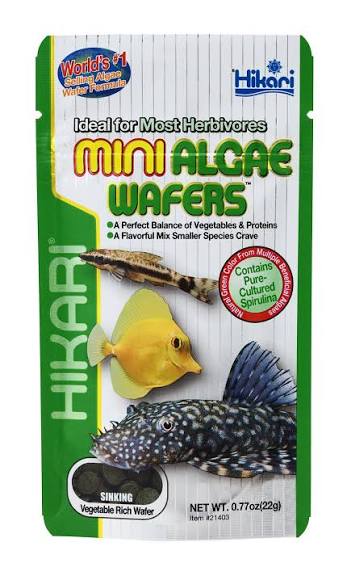 Hikari® Tropical Mini Algae Wafers